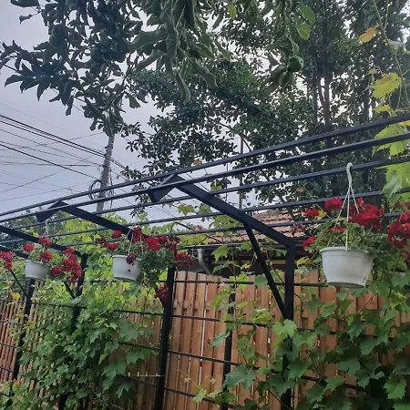 Casa Anton
