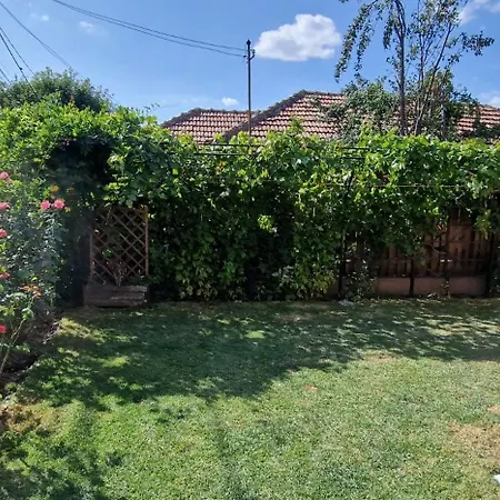 Casa Anton Holiday home Buzau